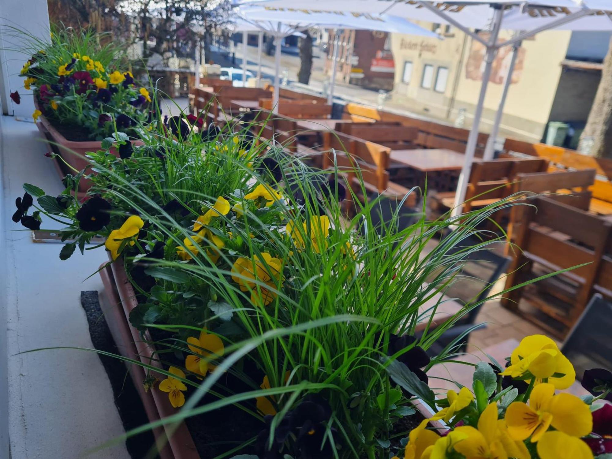 Hotel Restaurant Rueckert Nistertal Екстер'єр фото